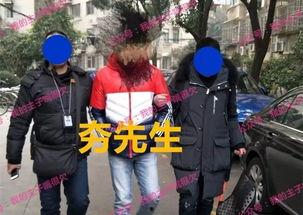 91秦先生国产,国产生态下的创新与突破
