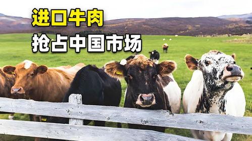 国产牛牛在线,创新游戏体验,引领休闲娱乐新潮流